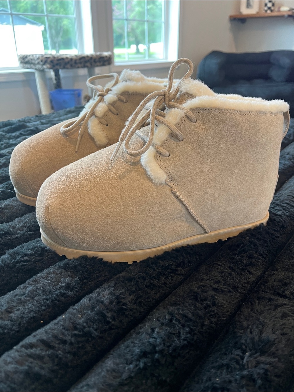 Platform Uggs